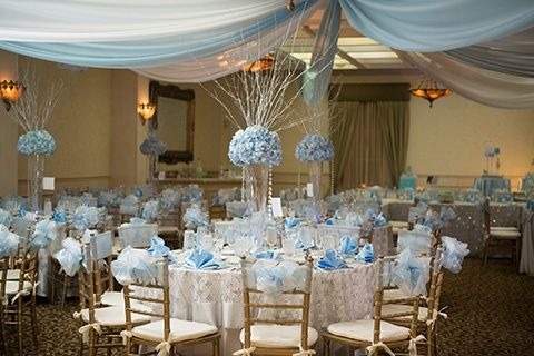 quinces party theme blue